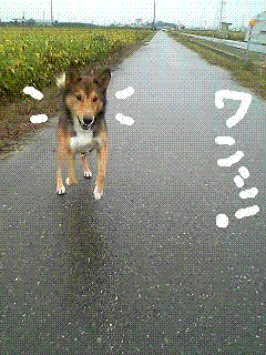 d0032004_23221720.gif