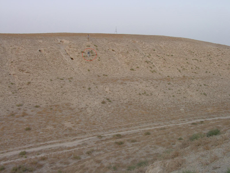 e0024206_1111680.jpg