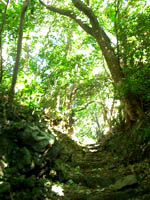e0034012_0462272.jpg