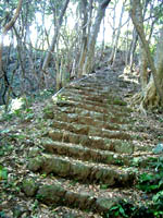 e0034012_0464689.jpg