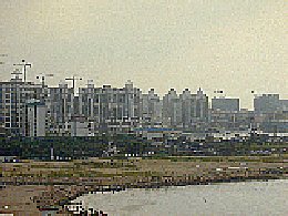 e0087913_2333643.jpg