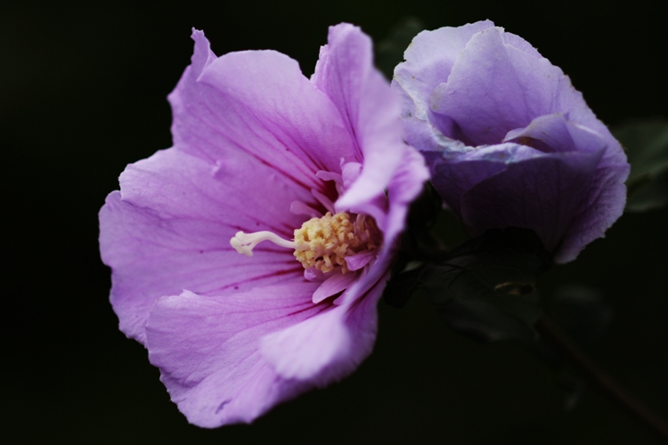 c0044720_14462182.jpg