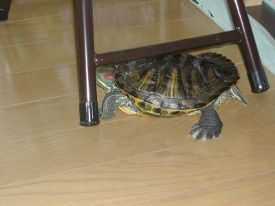 d0053032_0235183.jpg