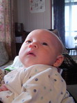 e0047361_201415100.jpg