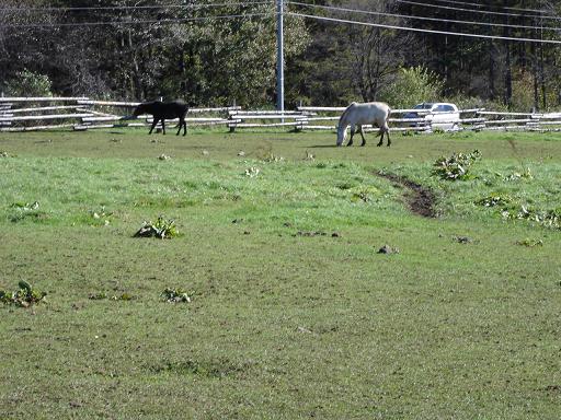 e0032163_2042232.jpg