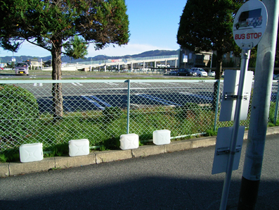 e0071764_22135972.jpg