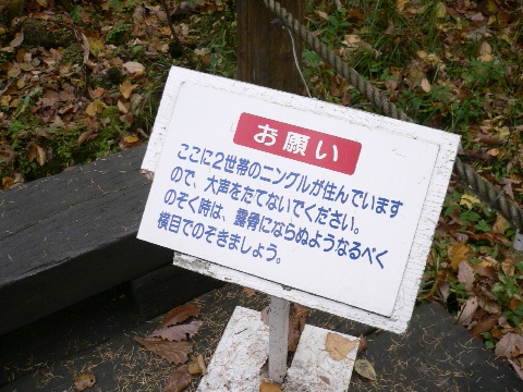 b0068572_19242413.jpg
