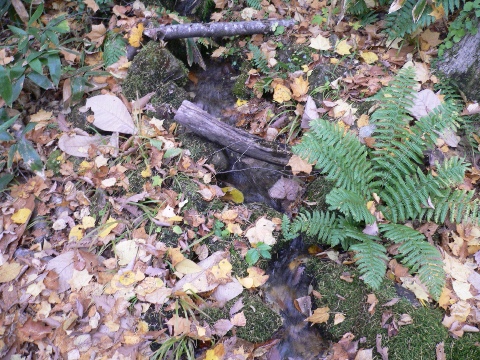 b0068572_19244990.jpg