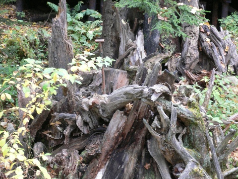 b0068572_19251499.jpg