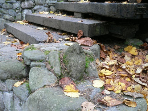 b0068572_19264253.jpg