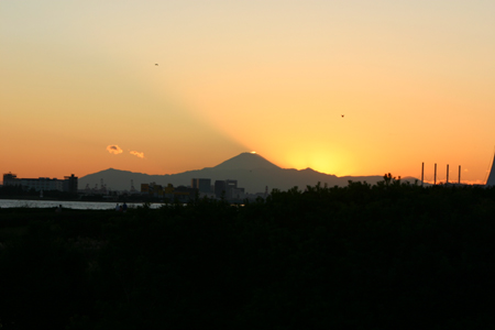 ■鳥類園・最新情報(05.10.19~20)_e0046474_14135939.jpg