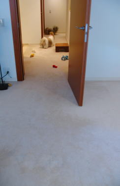 c0038983_06532.jpg