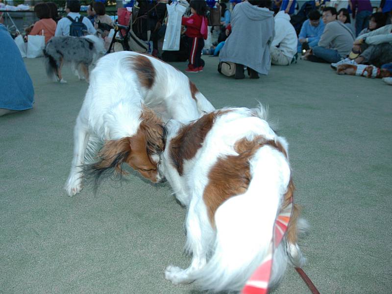 c0075585_1493639.jpg