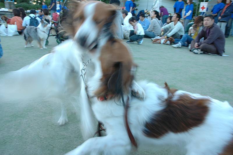 c0075585_1532950.jpg