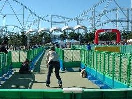 c0075585_225477.jpg
