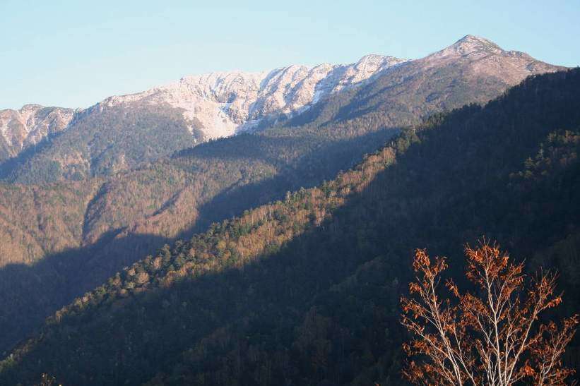 e0003910_149192.jpg