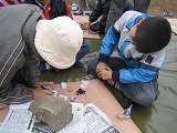 b0026615_12152552.jpg