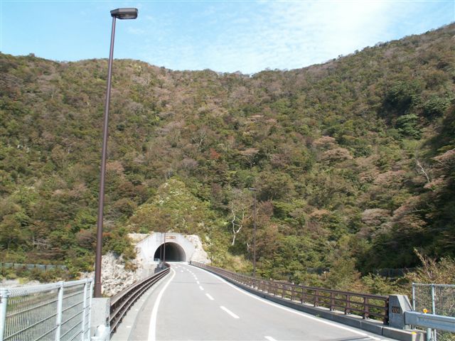 e0069622_164333.jpg
