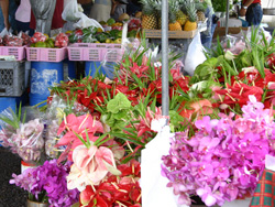 c0024729_22472421.jpg