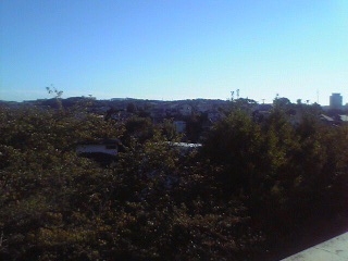 a0032331_1565369.jpg