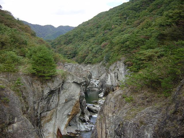 b0034633_19977.jpg