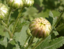 d0067235_18274277.jpg