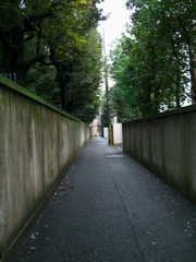 d0057240_21261880.jpg