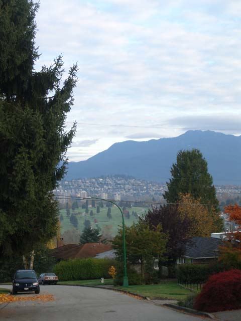 e0051353_88567.jpg
