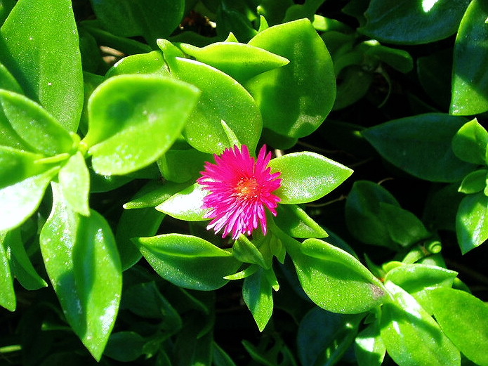 e0064158_005951.jpg