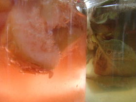e0067563_10555760.jpg