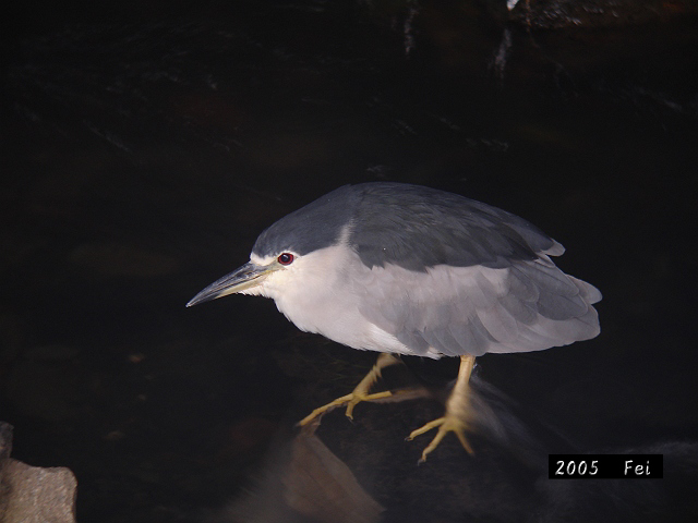 b0069564_21075.jpg