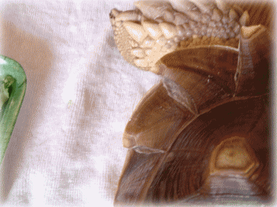 b0055276_23544854.gif