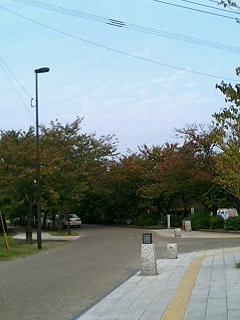 e0055980_15332852.jpg