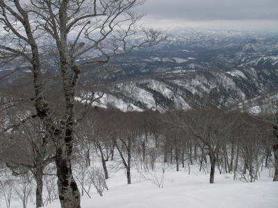 a0043193_1921415.jpg