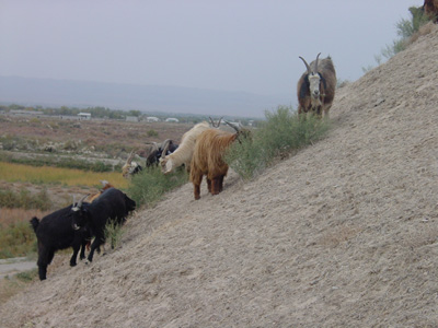 e0024206_22512151.jpg