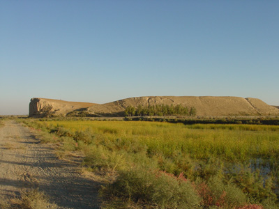 e0024206_2254368.jpg
