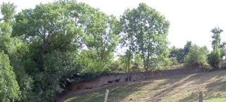 Un village dans le sud de la france._b0059607_4162966.jpg