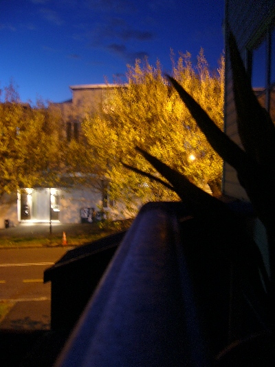 d0010417_155926.jpg