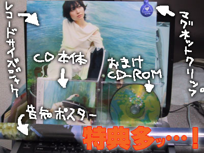 夕凪loop 坂本真綾5thアルバム Feblog 夕凪loop 坂本真綾5thアルバム Feblog