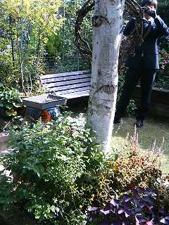 c0011169_19482820.jpg
