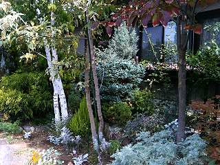 c0011169_19484492.jpg