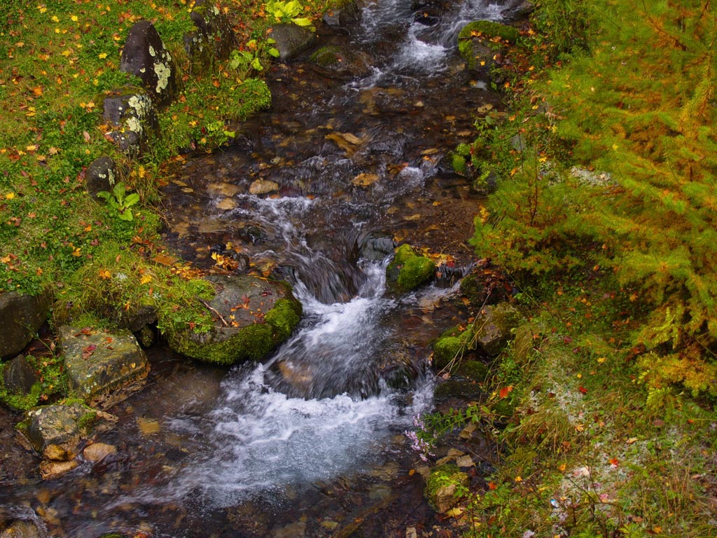 e0071178_563819.jpg
