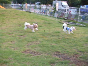 e0040602_21411285.jpg