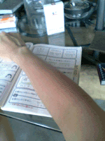 d0038319_8512192.gif