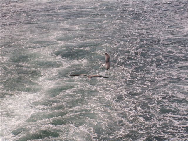 e0069622_17532573.jpg