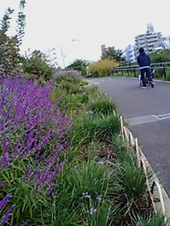e0046348_1436.jpg