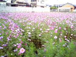 e0002951_23504890.jpg