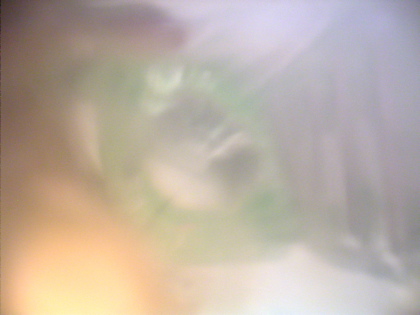 d0049553_07723.jpg