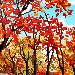 e0020055_1655170.gif