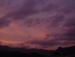 d0032470_03584.jpg